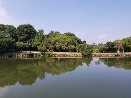 Nara Park